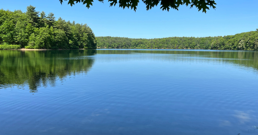 Collard Spiritual Direction * Pilgrimage to Walden Pond * Photo of a calm lake edged with leafy green trees and a bright blue sky by Elizabeth Collard