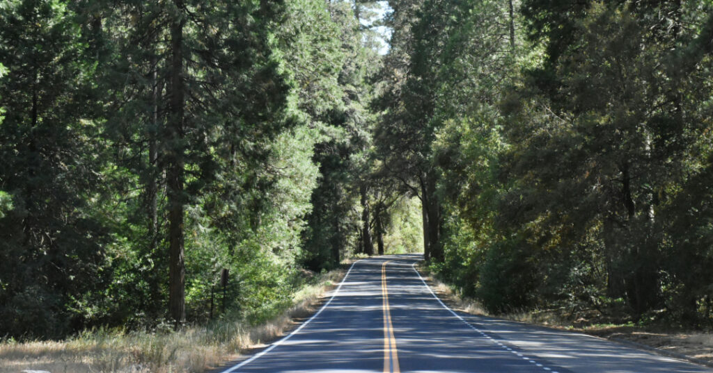 Collard Spiritual Direction - Spiritual Life and Quiet - Photo of an empty two lane road in the forest by Allison Sung via Unsplash 